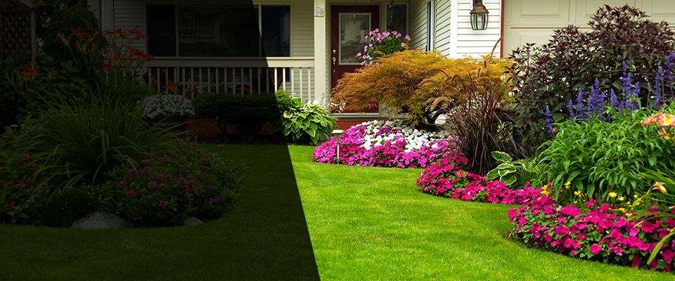 Banner Elk Landscapers