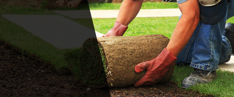 Banner Elk Landscapers